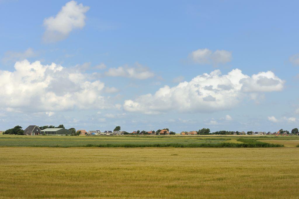 Beach-Dijkvilla Seaview Horizons Makkum Phòng bức ảnh